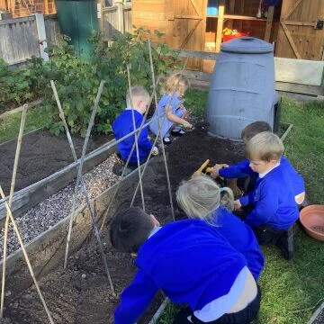 garden