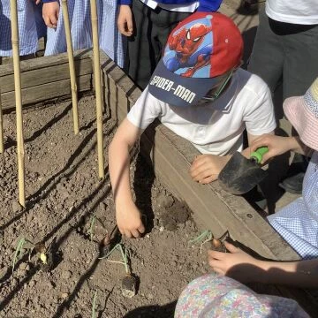 gardening