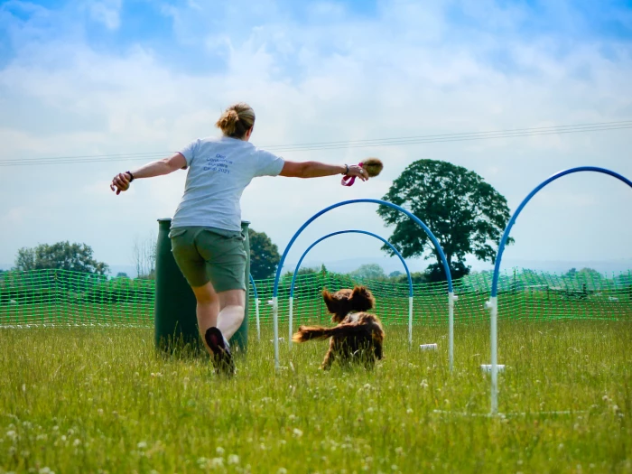 george and me hoops2