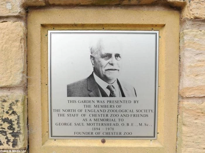 george mottershead