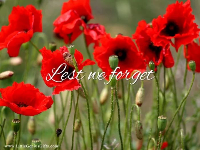 giftsbygeniusmemorialday2014wallpaper1024x768