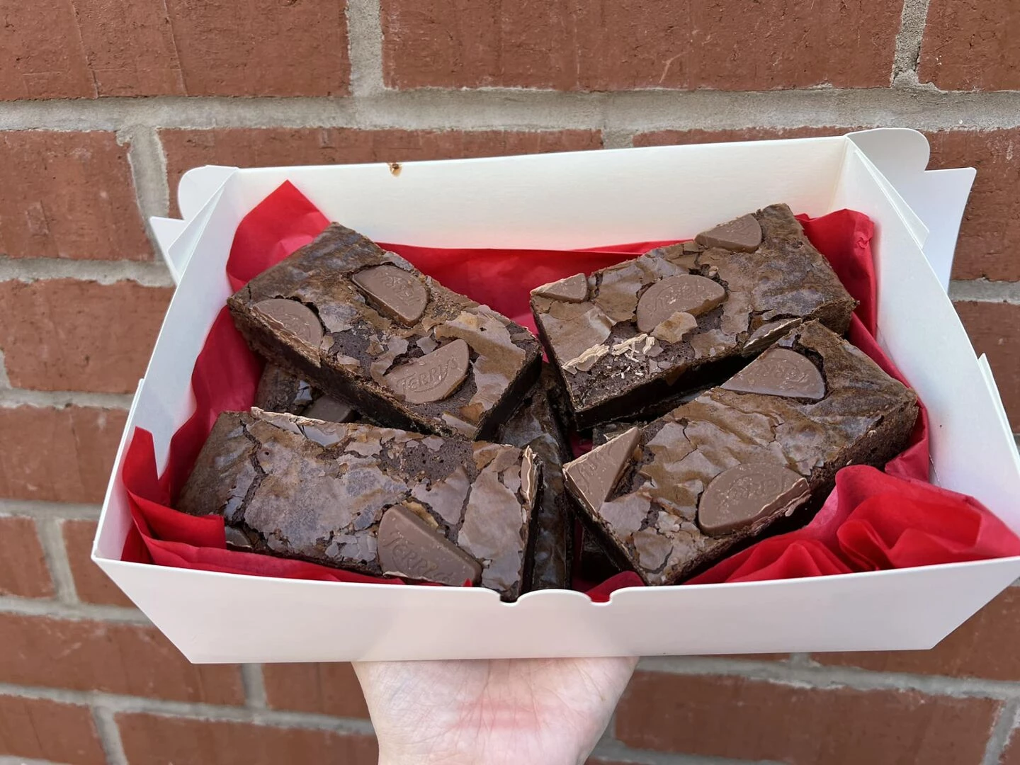 give a little cupcake chocilate brownies