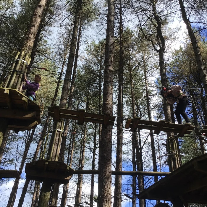 go ape