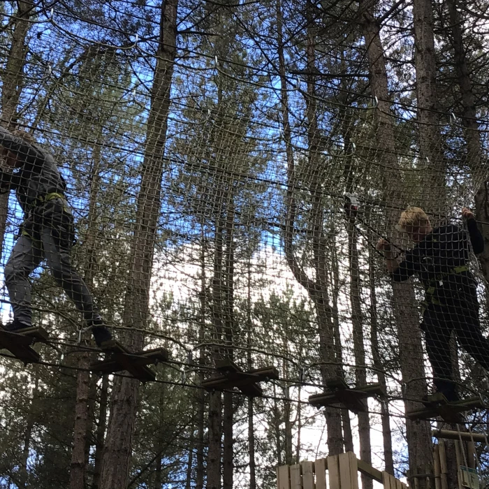 go ape