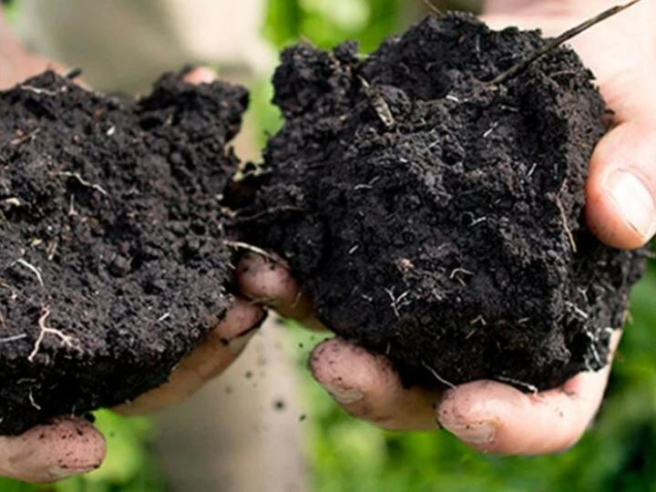 greatsoil2header