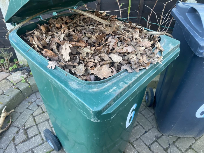 green bin full
