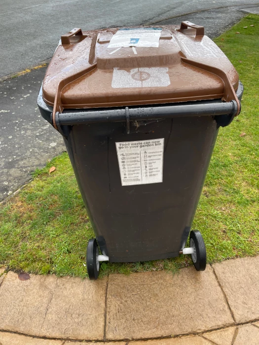 green bin