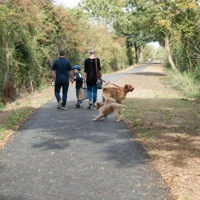 green lane3
