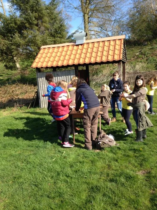 guides and brownies at maer2190425