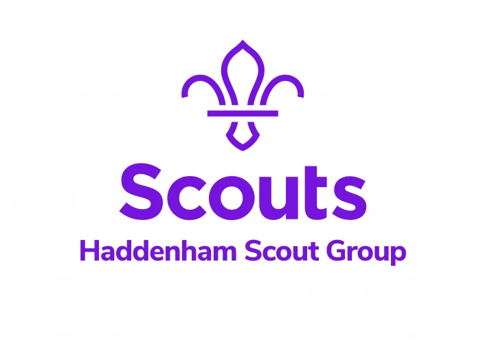 haddenham scouts logo