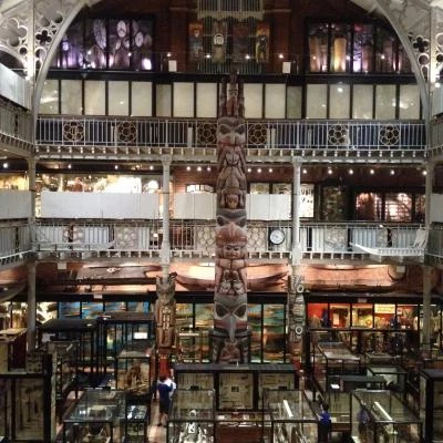 haida totem pole  pitt rivers museum oxford