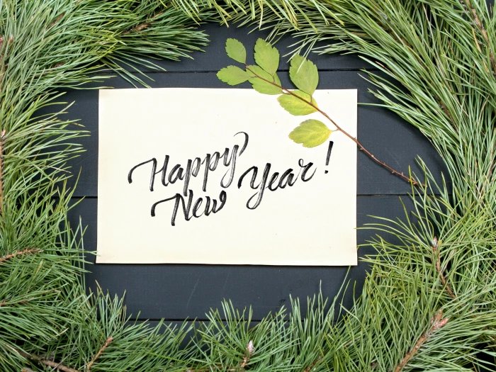 happy new year