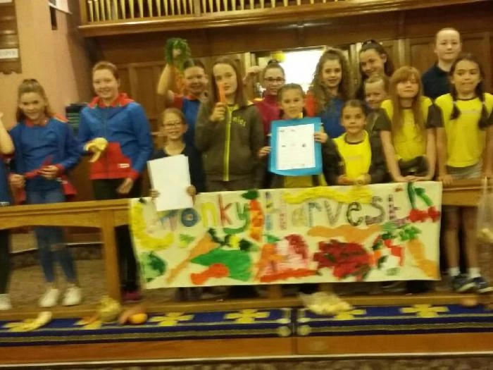 harvest guides  brownies