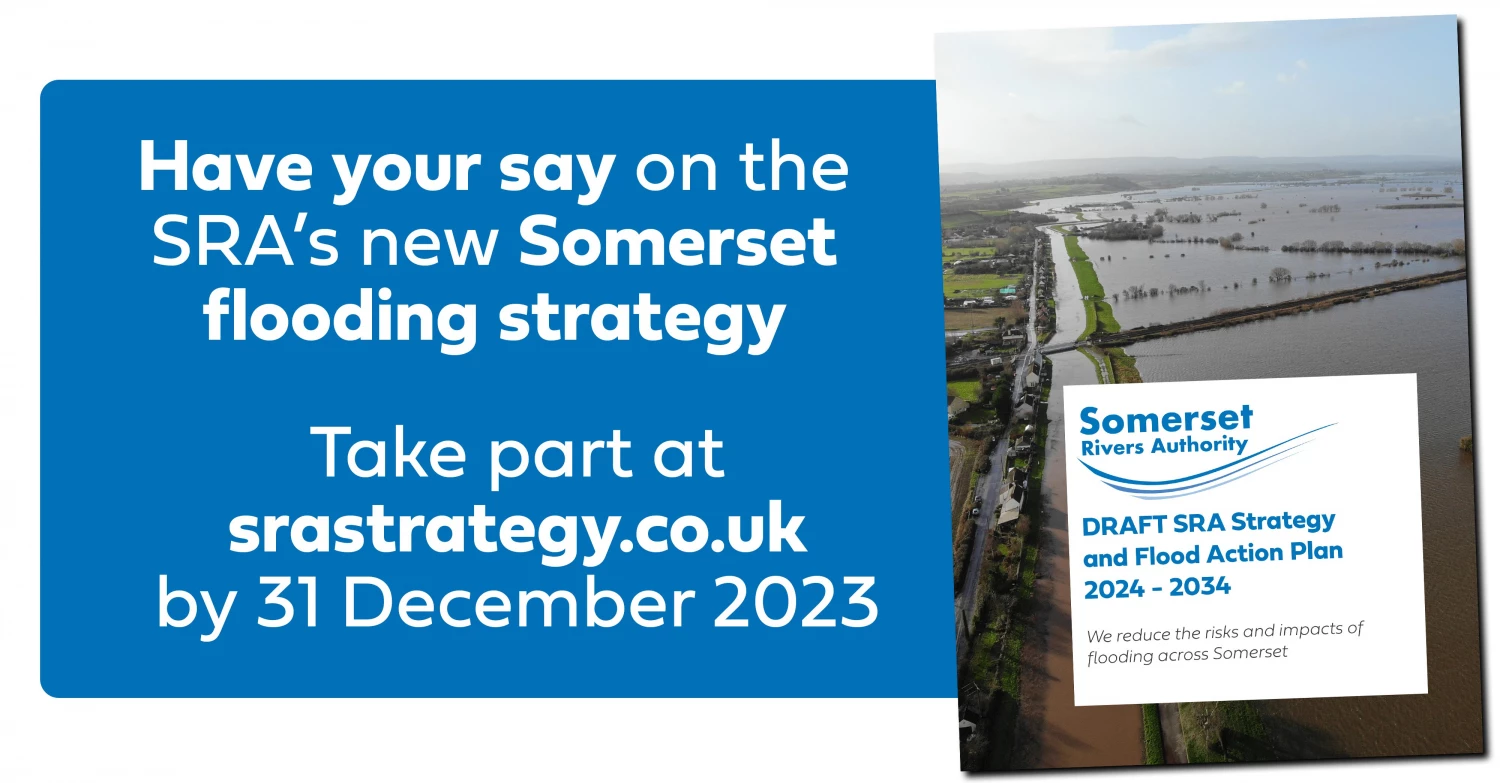 have your say flyer for screen