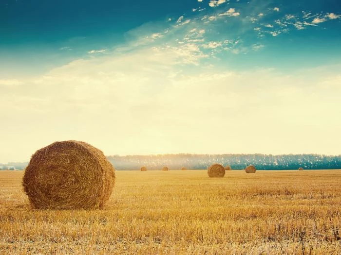 hay-bales-farming-countryside-rural