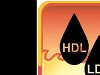 hdl logo