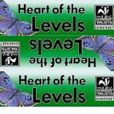 heart of the levels logo