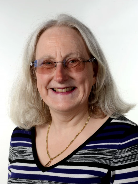 heather wells treasurer