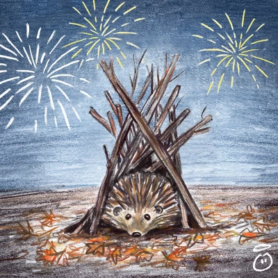 hedgehog on 5th nov