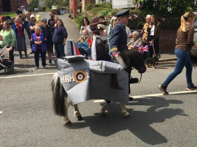 horse 3