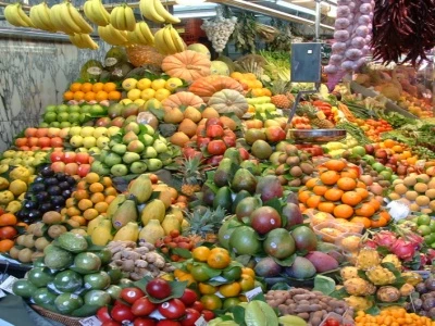 horticultural display