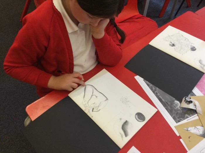 image 0647e7f1021a48a88489314ce80a6ed3