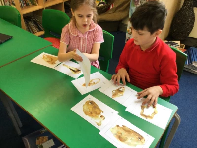 image 126a566b47e2459dba842956b4e939f9