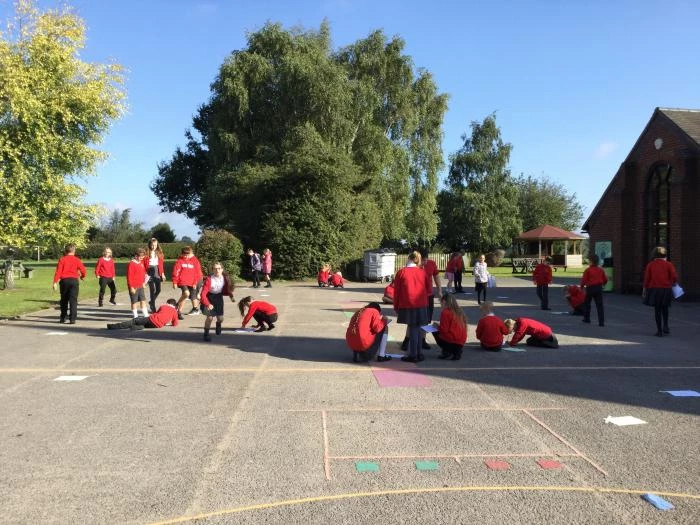 image 1ffdec6aedd44b44816dcf9b2d5313a2