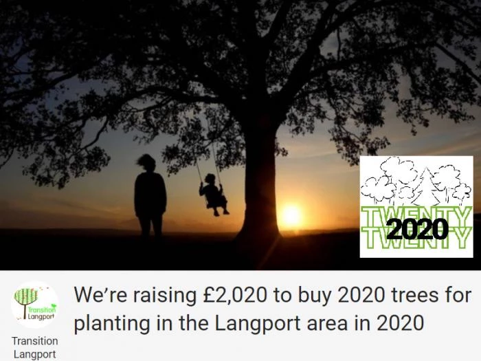 image 2020 trees for langport