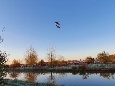 image 20211125081331