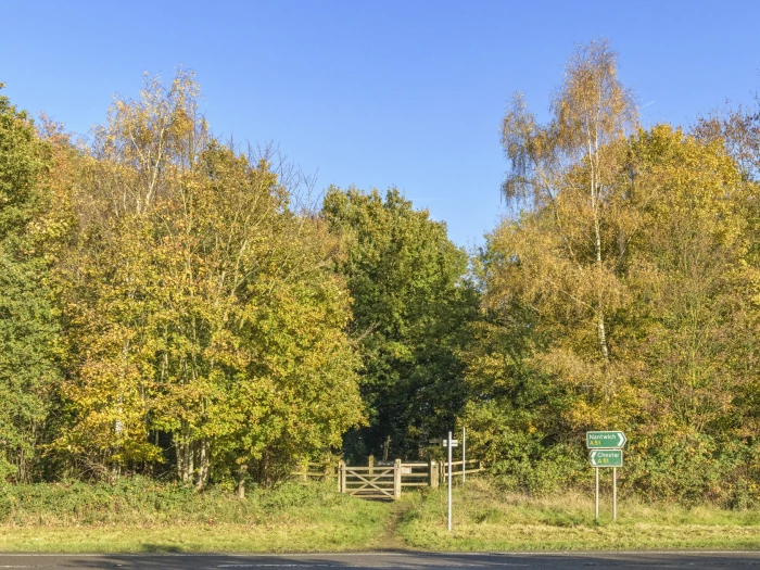 image 20231111 103601