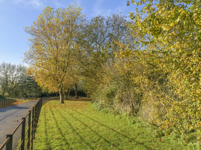 image 20231111 104301