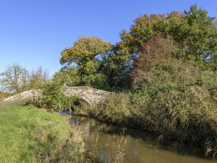 image 20231111 111311