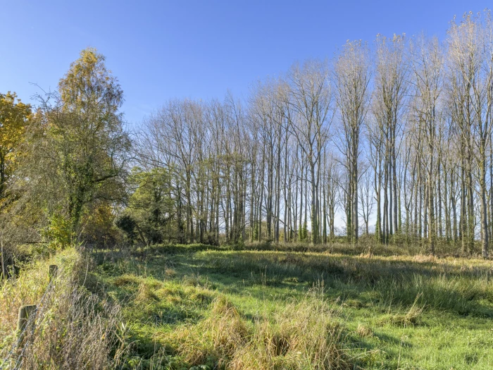 image 20231111 111847