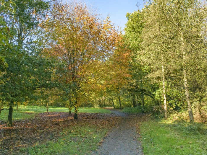 image 20231111 115851 01