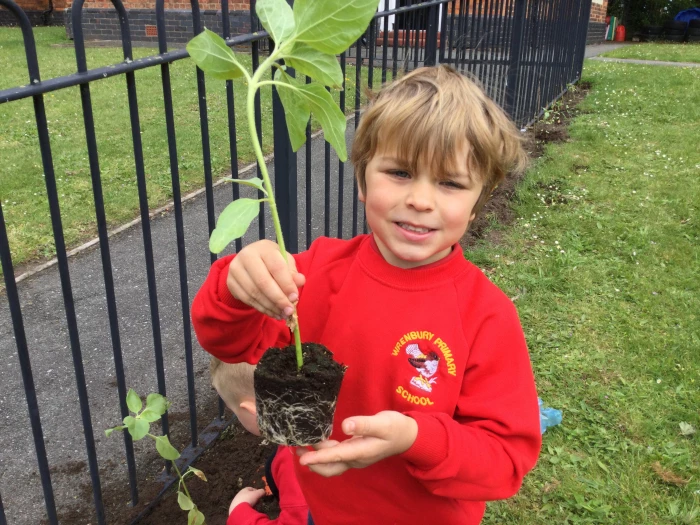 image 20c8b6222f7c455aac52bbb4802ea31c