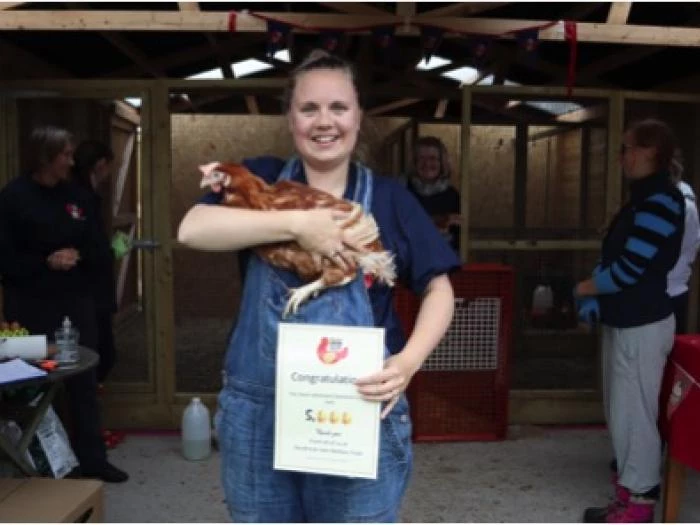 image 5000th hen