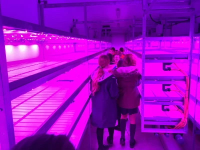 image 5cf96734cee84f7598a41e400ace5c45