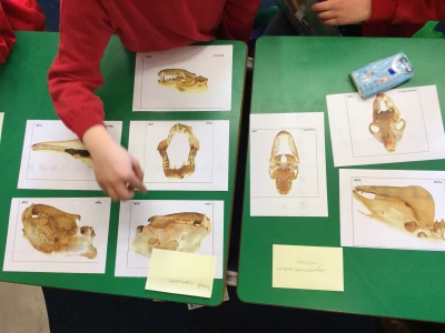 image 62d9a8f0a3fa4aecb968253386c92257