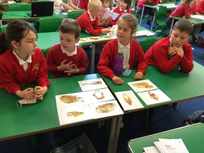 image 7471135653594575b25b248468a908f8