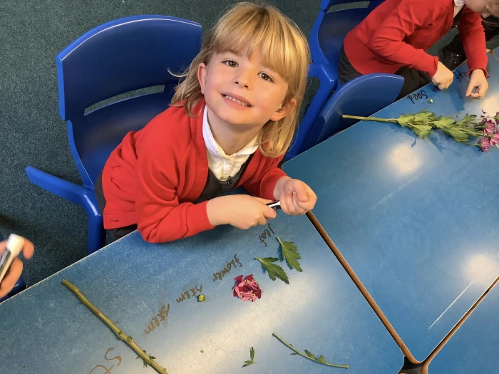 image 90a348b8137e486fbd108386983fc09a