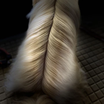 image00042