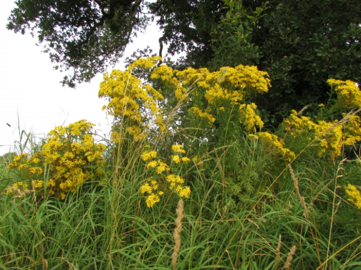 image0299