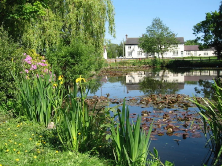 image0431