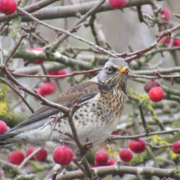 image0570