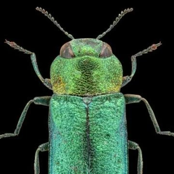 image1054