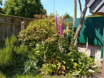 image20240525122506