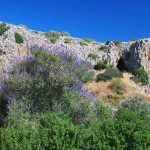 israelcarmel caves