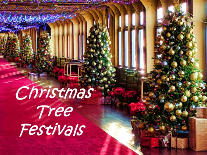 North Cheshire Circuit Christmas Tree Festivals