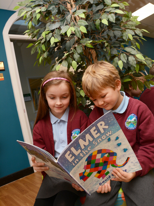 Bridgemere CE Primary School News bridgemere-ce-primary-school-news